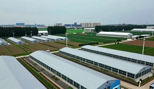 农产品收购渠道优化:种苗套餐如何重塑供应链效率